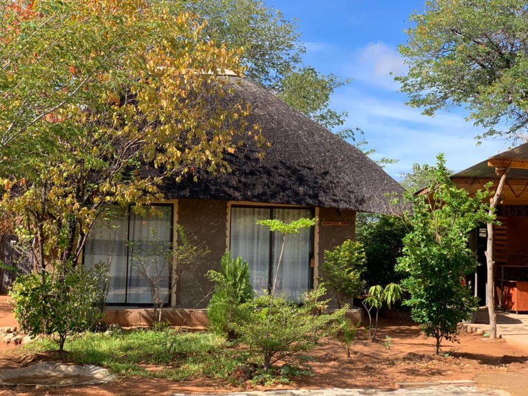 Jungle Breeze Home Stay كاسان المظهر الخارجي الصورة
