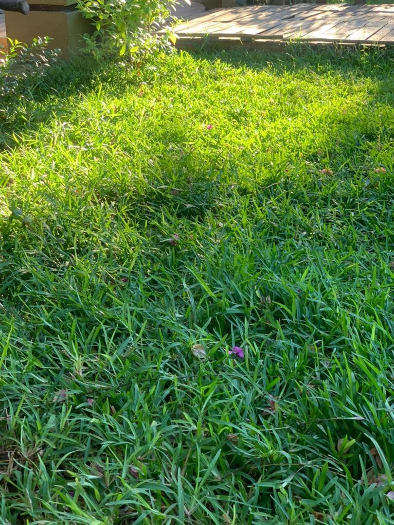 Jungle Breeze Home Stay كاسان المظهر الخارجي الصورة